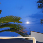 お月様が上がって・・