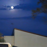 海辺の途中 - 参りましたよ〜♬