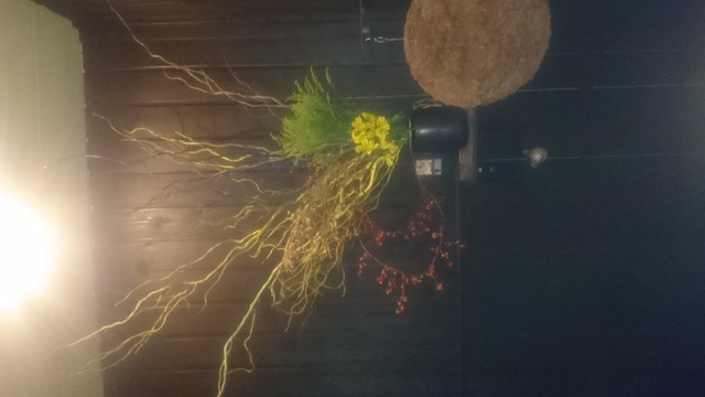 やきとり かこ - 鶴岡（居酒屋）の写真