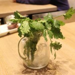 Rice people,Nice people! Shibuya Hikarie