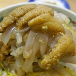 馬子とやすべ - 当然ながらふっくらご飯と、ハリのある食感と甘みのあるいか、濃厚なうまみととろけるような食感が楽しめるうにとの愛称はバッチリ！ガツガツかっ食らうように「生うに・いか丼」を完食しました！