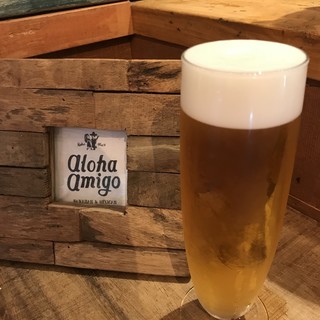 Aloha Amigo_2