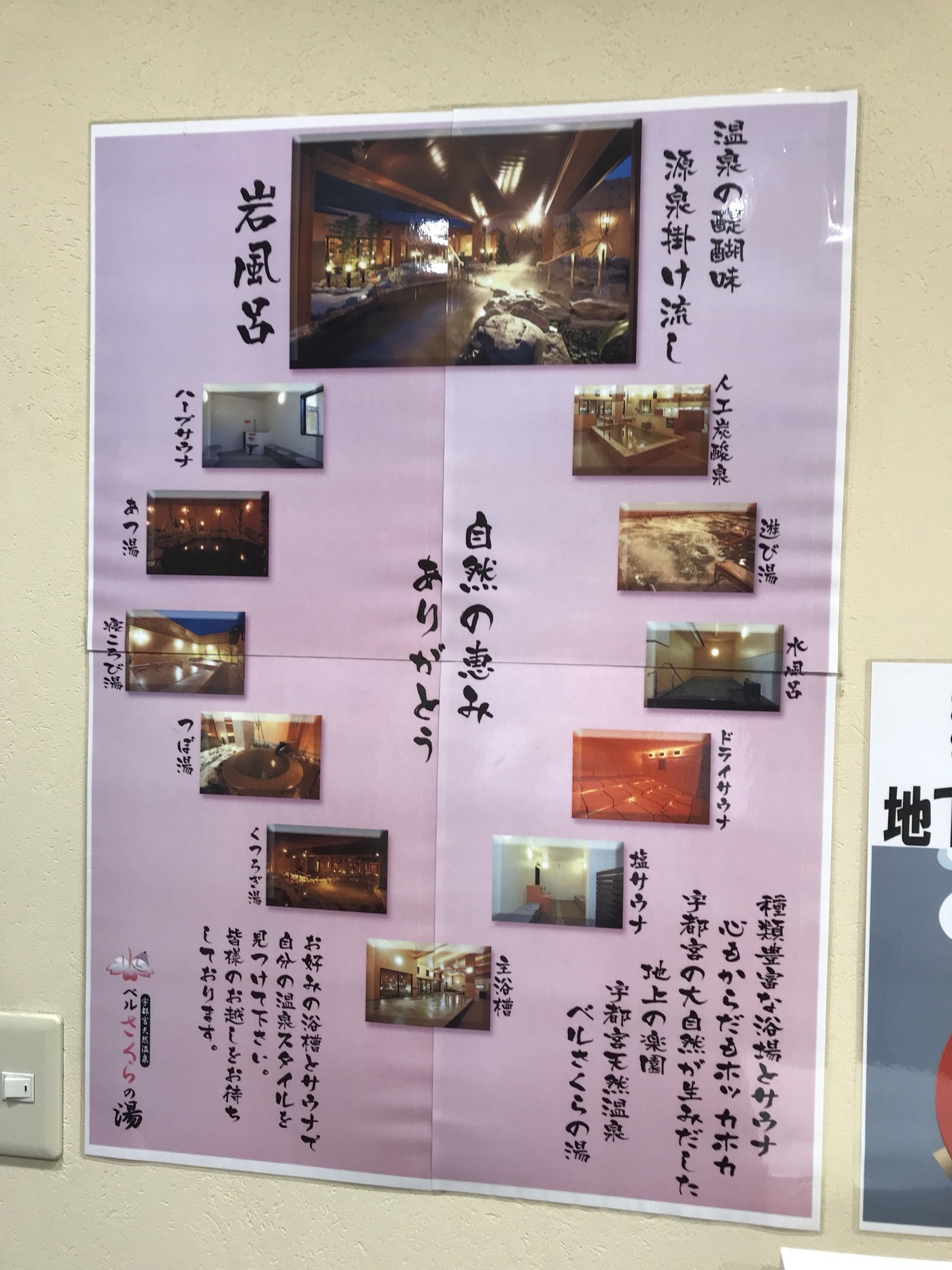 さくら name=