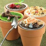 カフェアラモード Cafe Alamode 八丁堀 カフェ ネット予約可 食べログ