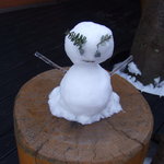 トラットリア プリモ - 