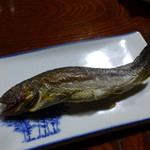 民宿ふじや - 阿賀野川水系産イワナの囲炉裏焼き。舘岩村内畜養。