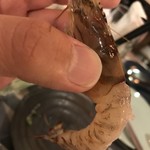 KATSUO  - 新鮮かよっ！