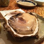 京都舞鶴産 天然もの