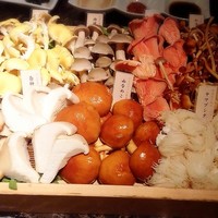 Shangri-La's secret ROPPONGI - 