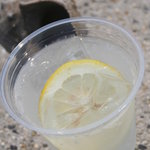 船宿カフェ若長 - 大長レモンスカッシュ。大長レモンをまるごと１個しぼった香り高いレモンスカッシュ。