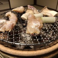 俵屋旅館 - 連泊すると焼河豚が食べられる♪