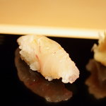 鮨 橋口 - 能登（のと）の眞鯛（まだひ）