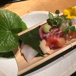 Yumeusagi - 鯛、鮪、赤貝、スミイカのお造り
