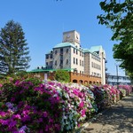 ナチュラルガーデン - 「水賀池公園」のツツジが満開