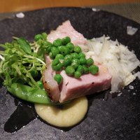 オッジ ダルマット 西麻布店 - 