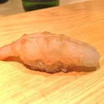 鮨 さかい - 牡丹蝦