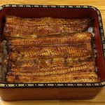 鰻はし本 - 横山さんの太物鰻の鰻重