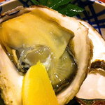 隠家 あわい - いわがき