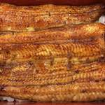 鰻はし本 - 横山さんの太物鰻の鰻重