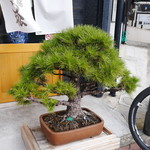 自家製麺 くろ松 - 