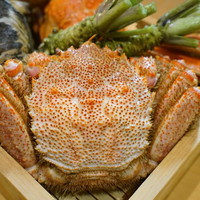 鮨松榮 - 宝石箱（2018年4月）