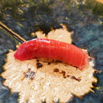 鮨松榮 - 本鮪 中トロ