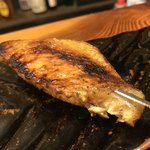 熟成鶏 とことこ - 手羽先