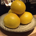 SUGALABO - 土佐文旦