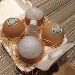 SUGALABO - コーヒープリン、レモンの泡