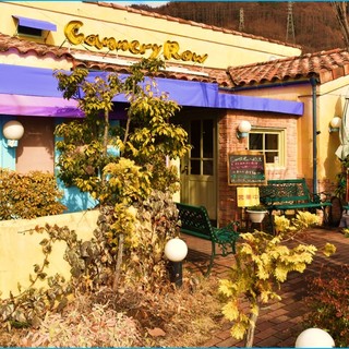 オリーブの木や花々に囲まれた自然豊かなお店を目指しています♪