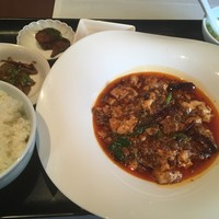 神田 雲林 - 激辛麻婆豆腐…激辛ではない