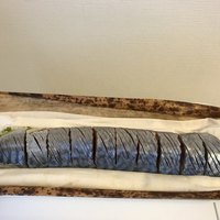 祇園 にしかわ - 