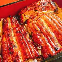 うなぎ藤田 白金台店 - 