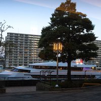 ザ・クルーズクラブ東京 - 船