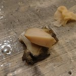 鮨 一新 - アワビ