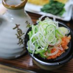 青葉 直利庵 - 紅葉おろしがとっても辛いです