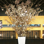 鮨でですけ - 御殿場の紅普賢