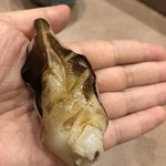 鮨処 多田 - ツブ貝