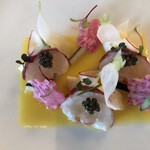 トゥールダルジャン - 