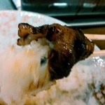 大松園 - オンザライス