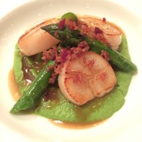 Benoit Alain Ducasse - 