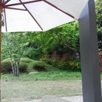 テラス席に座り見た庭