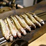 御幸町 田がわ - 