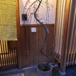 御幸町 田がわ - 