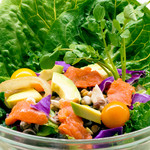 Salad Deli Margo - アンチエイジングサラダ／ANTI-AGING
