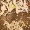 ごはん処 かつ庵 川崎生田店