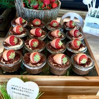 シースケープ テラス・ダイニング - 
