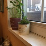 カフェ ミント - 