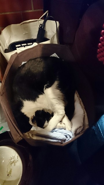 繁華街の老舗 軽食喫茶 By ふうてんねこ ちゃーり 釧路 喫茶店 食べログ