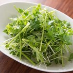 Coriander salad